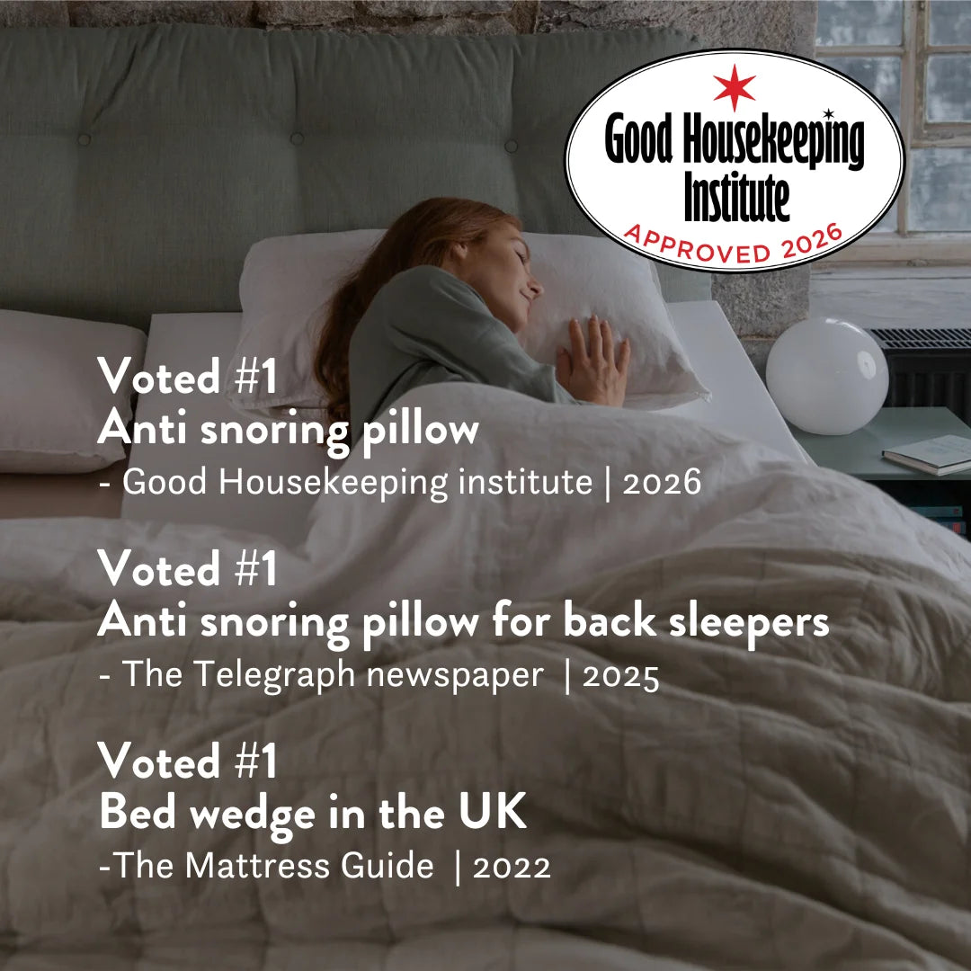 A single Monstera leaf in a clear glass vase against a white background.