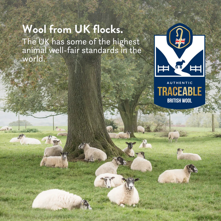 Wool from UK flocks. The UK has some of the highest animal well-fair standards in the world. Authentic traceable British wool.