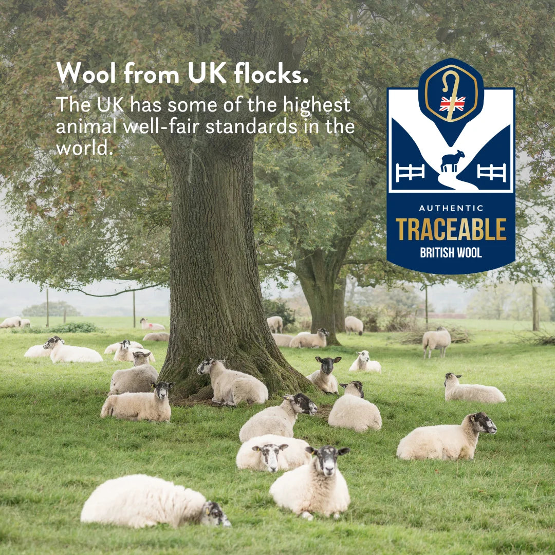 Wool from UK flocks. The UK has some of the highest animal well-fair standards in the world. Authentic traceable British wool. 