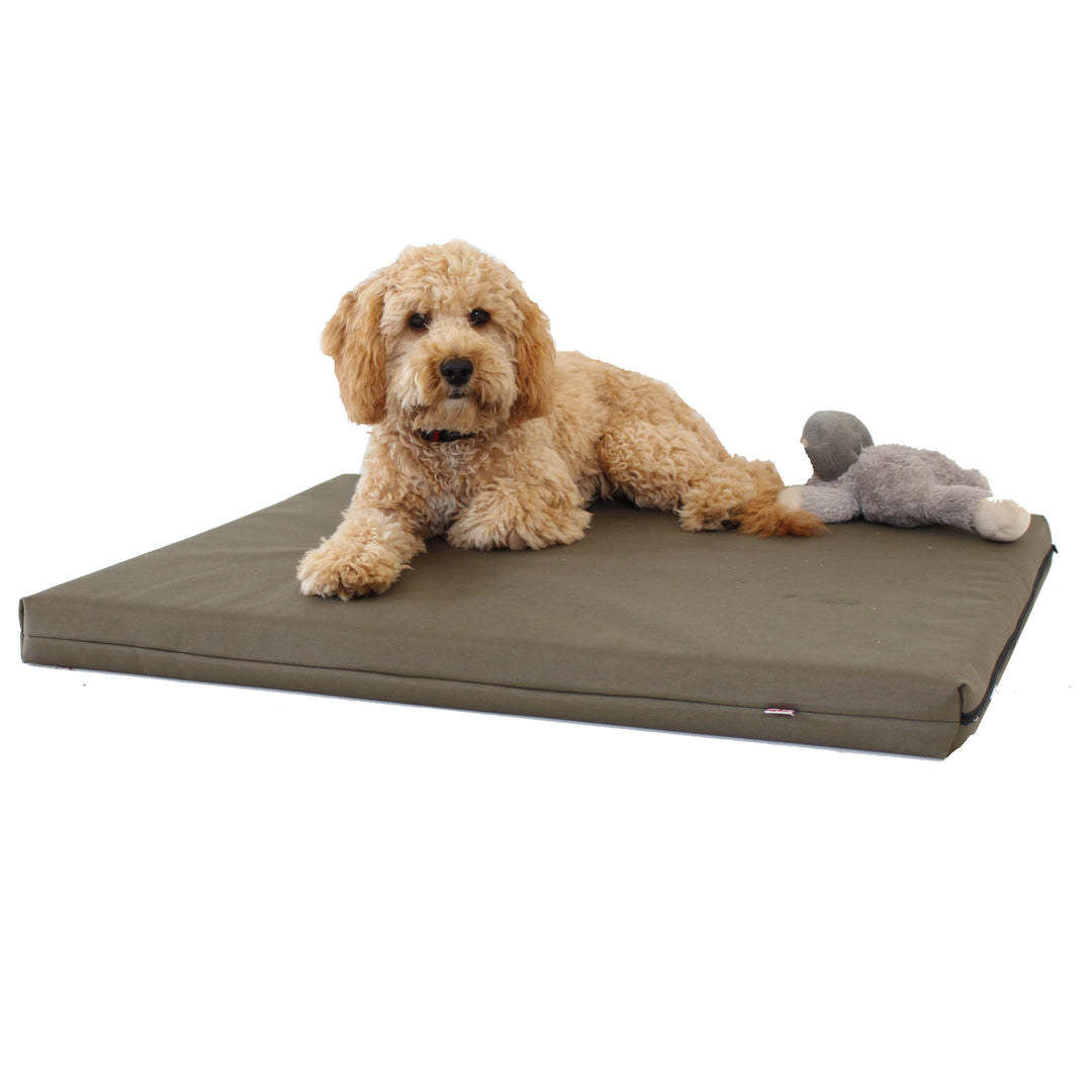 Memory Foam Dog Bed - Putnams